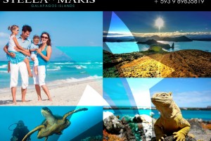 GALAPAGOS ISLANDS | A wonderful destiny is waiting for you