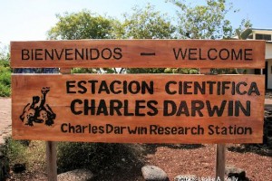 Charles Darwin Station